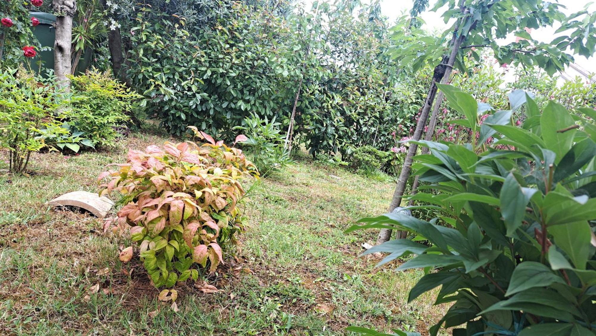Apartmani Donna โปเรช ภายนอก รูปภาพ